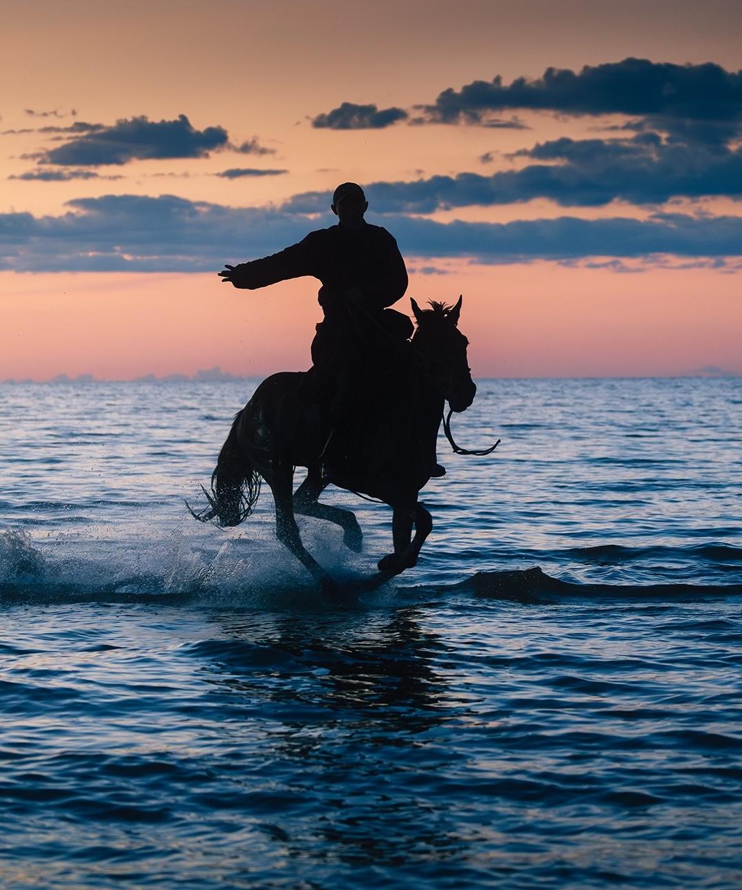 Easy Booking Process