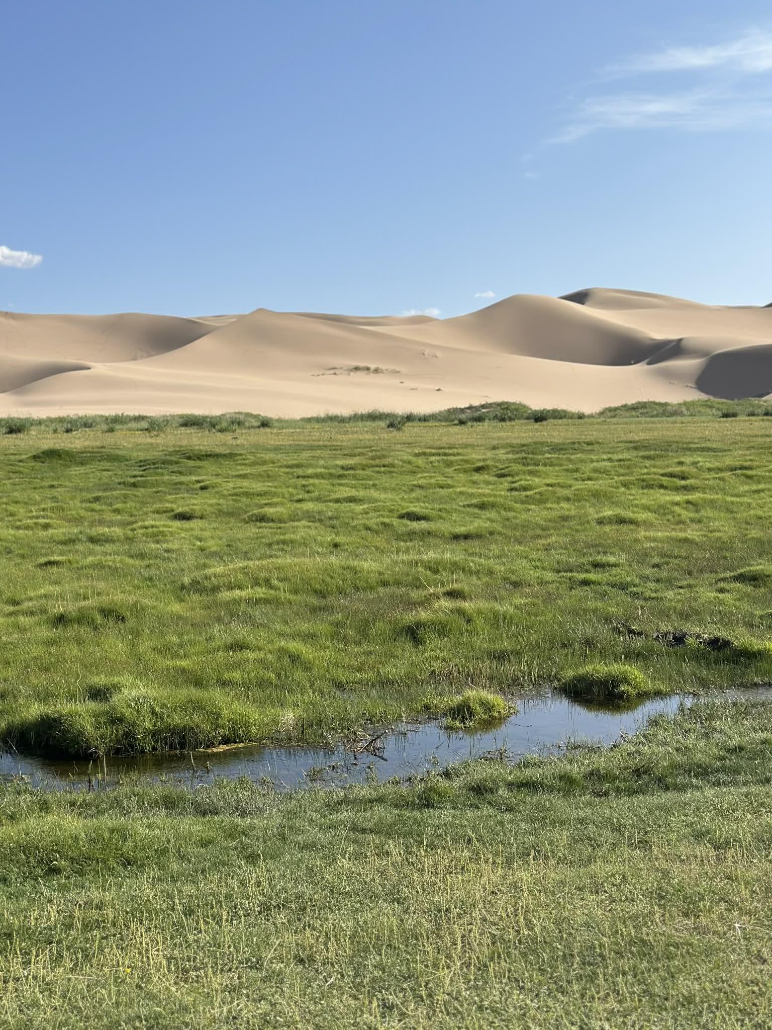 What to do and see in Mongolia